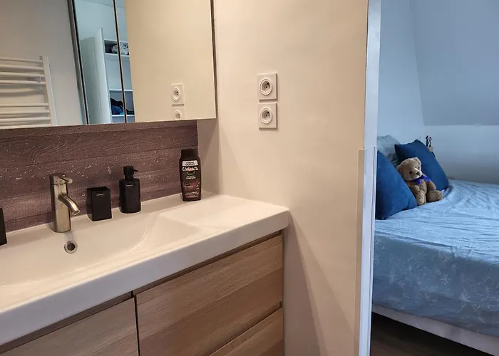 Domaine Des Roches *